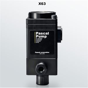 日本Pascal帕斯卡X6310S-B离心泵青岛平山技研刘156-21198049