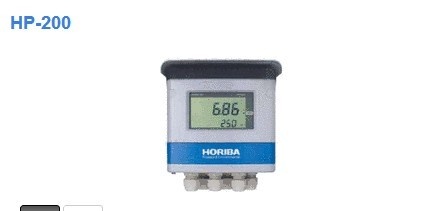 日本HORIBA堀场HP-200分析仪
