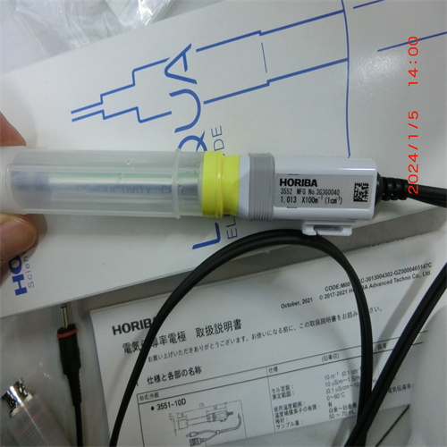 HORIBA崛场9618N-10D电极探头