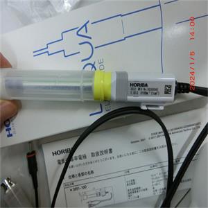 HORIBA崛场9618N-10D电极探头