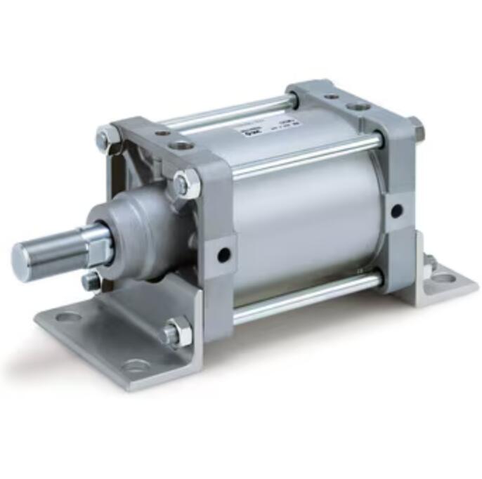 CS2B160-100-XC5.jpg CS2B160-100-XC5.jpg