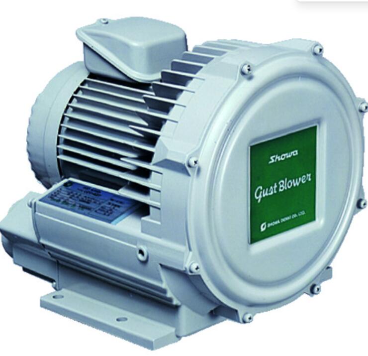 日本SDG昭和U2V-30S电动鼓风机 李:157*1387*6121