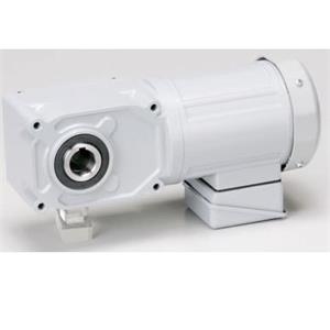 日本GTR日精F3S30N40-MM04TCNTN减速机平山贸易15713876121